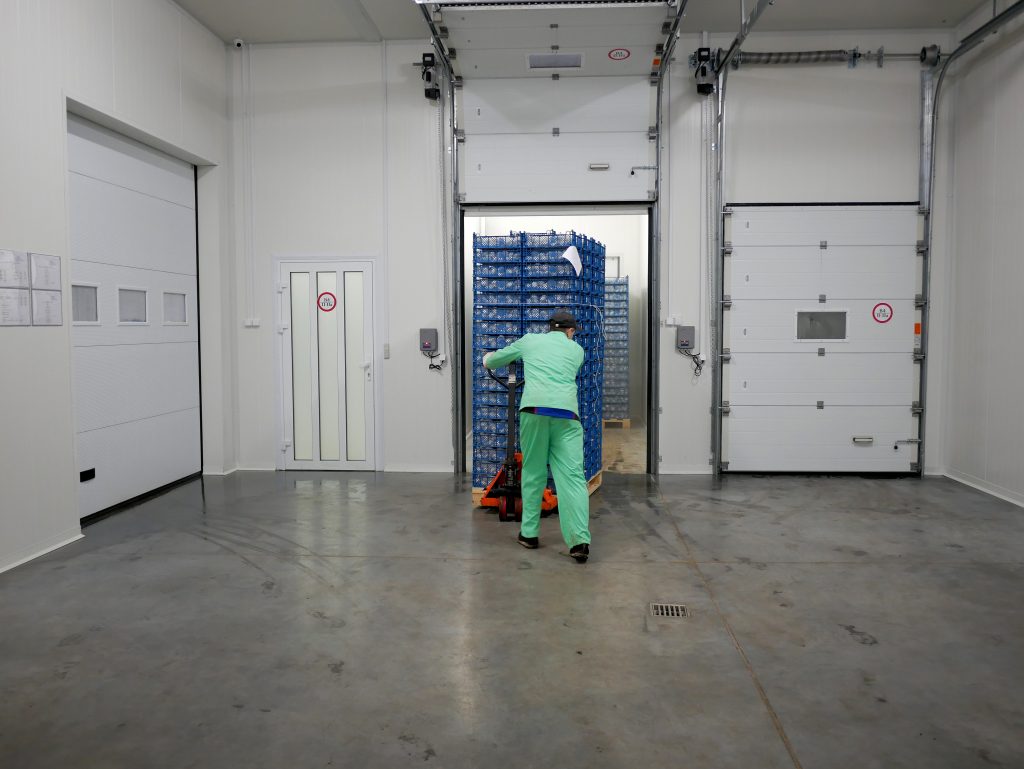Cold chain logistics worker